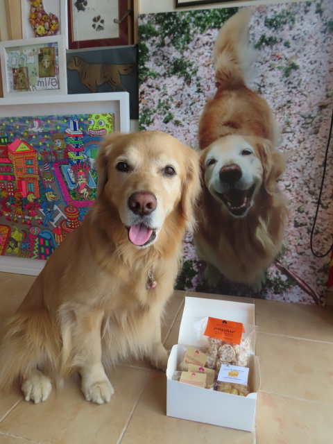 ファイル 8766-2.jpg