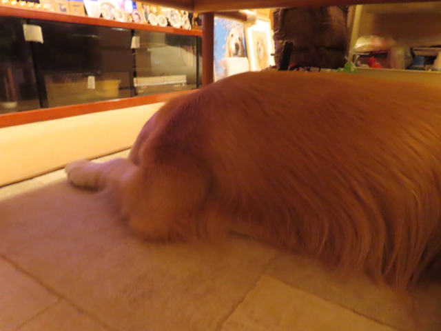 ファイル 8766-5.jpg