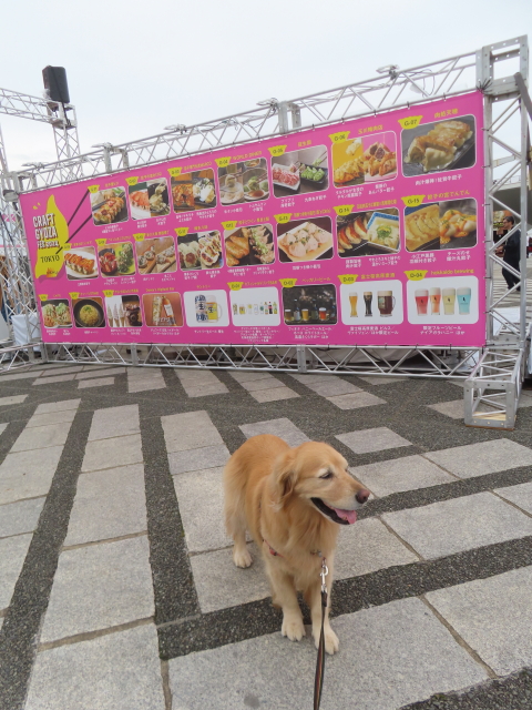 ファイル 8768-2.jpg