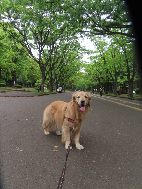 ファイル 8768-4.jpg