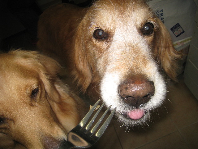 ファイル 877-2.jpg