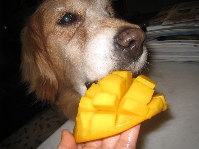 ファイル 877-3.jpg