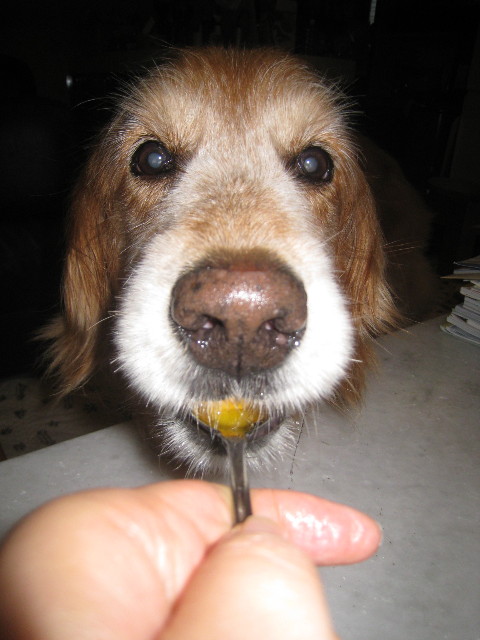 ファイル 877-4.jpg