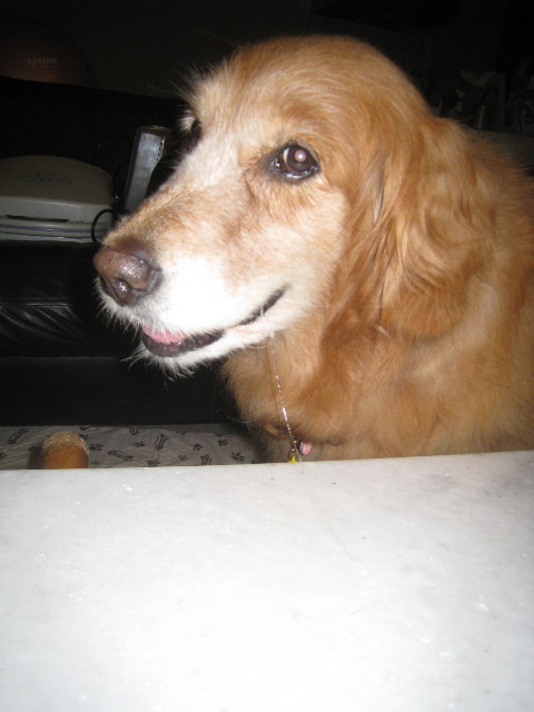 ファイル 877-5.jpg