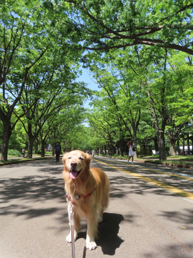 ファイル 8774-1.jpg