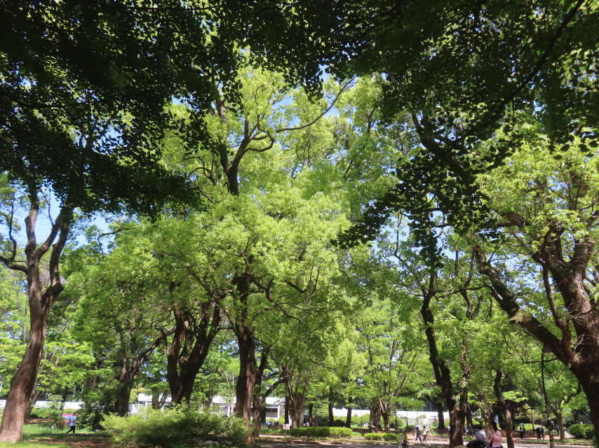 ファイル 8774-3.jpg