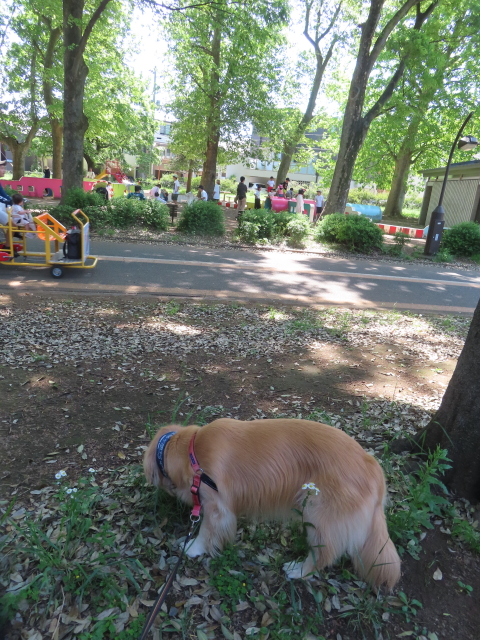 ファイル 8775-1.jpg