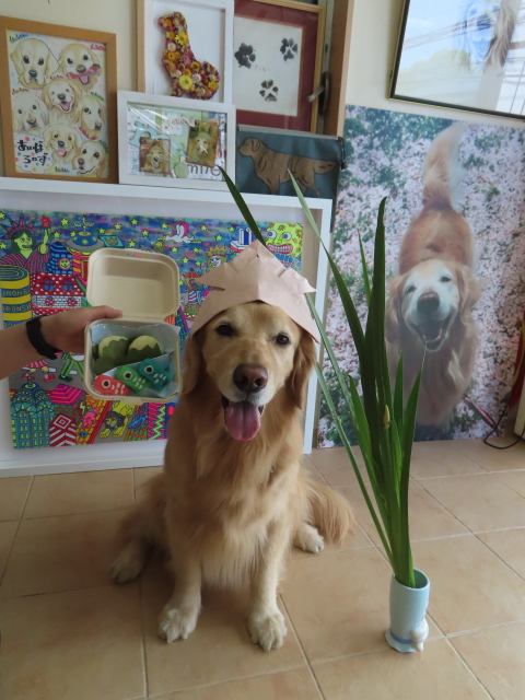 ファイル 8775-3.jpg