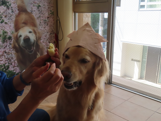 ファイル 8775-4.jpg