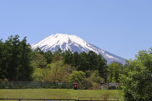 ファイル 8778-2.jpg