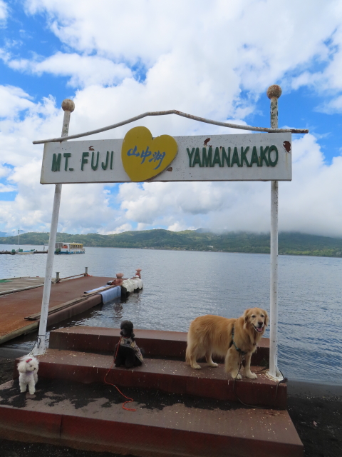 ファイル 8779-3.jpg