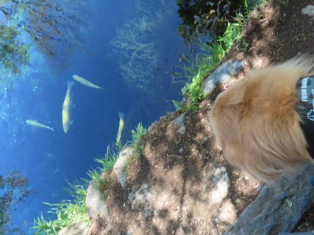 ファイル 8779-4.jpg