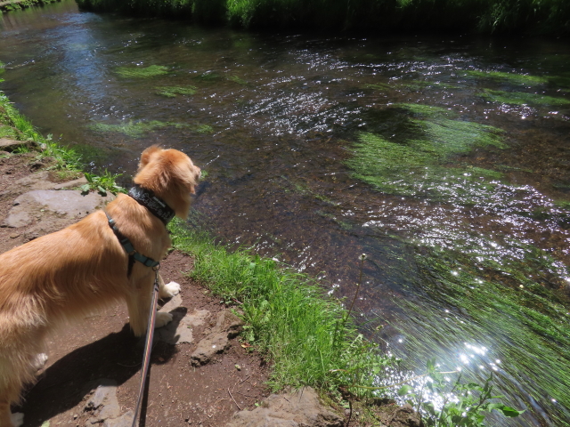 ファイル 8779-5.jpg