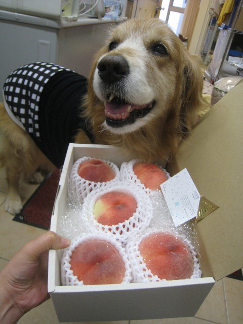 ファイル 878-3.jpg