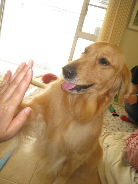 ファイル 878-4.jpg