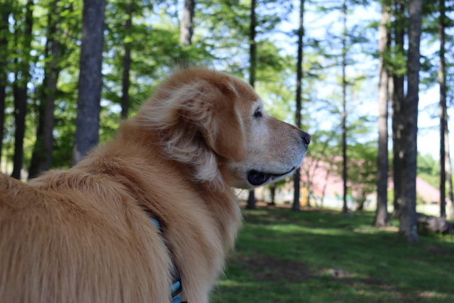 ファイル 8781-2.jpg