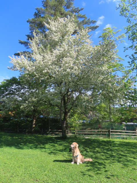 ファイル 8781-3.jpg