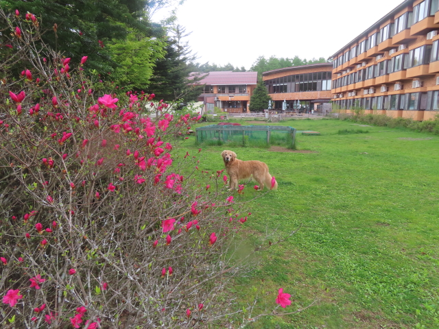 ファイル 8781-5.jpg