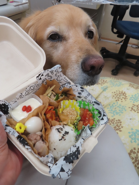 ファイル 8782-4.jpg