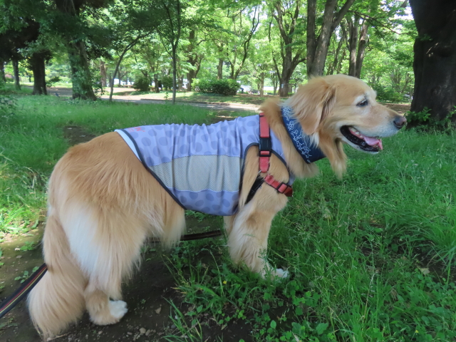 ファイル 8784-1.jpg