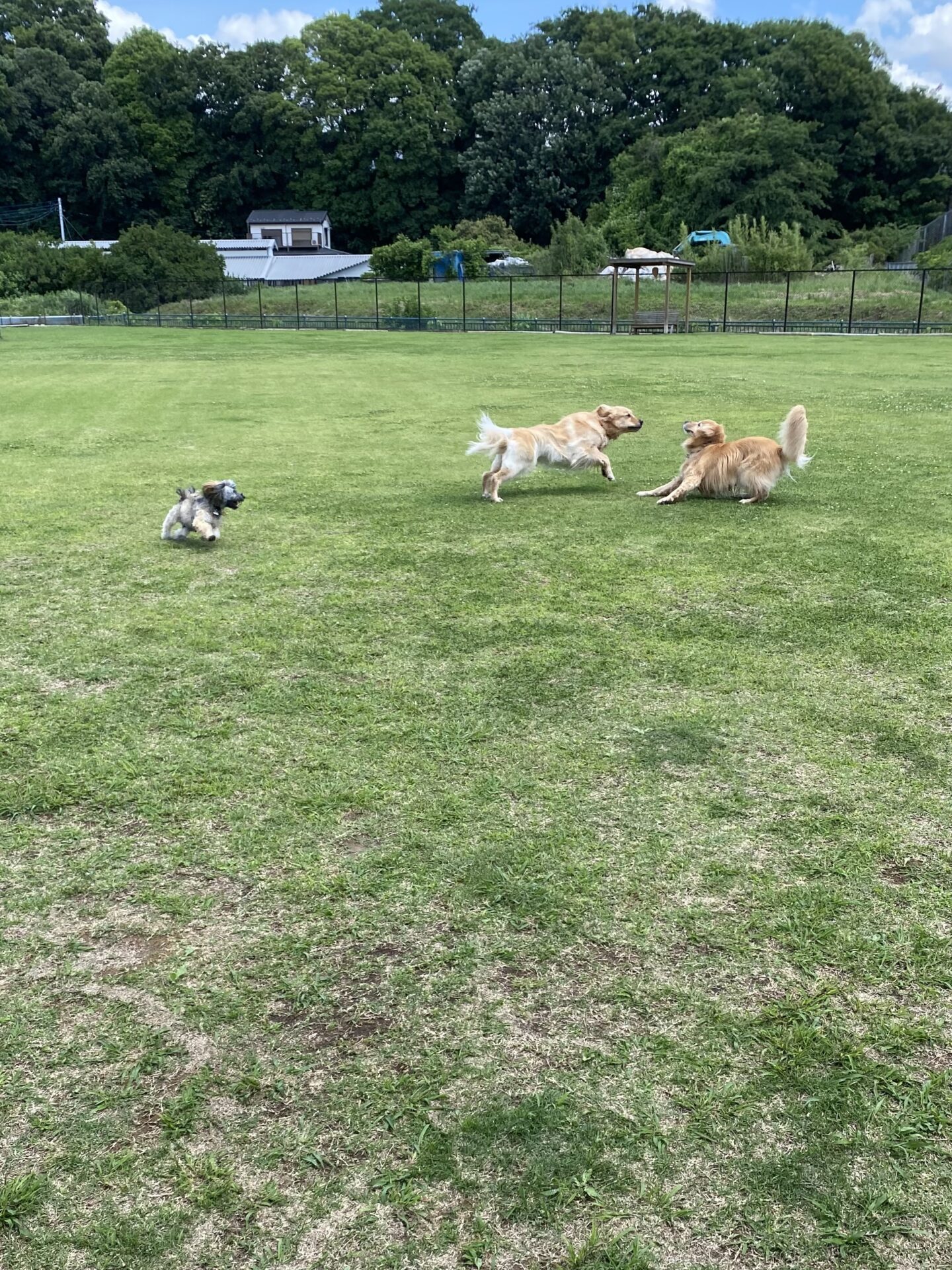 ファイル 8786-4.jpeg