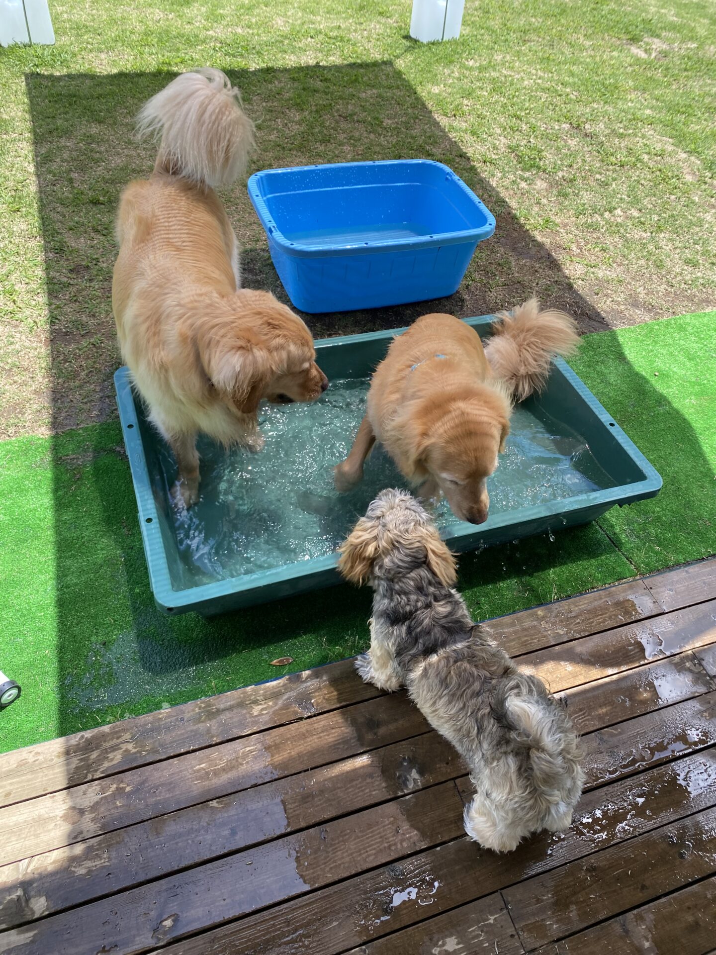 ファイル 8786-5.jpeg