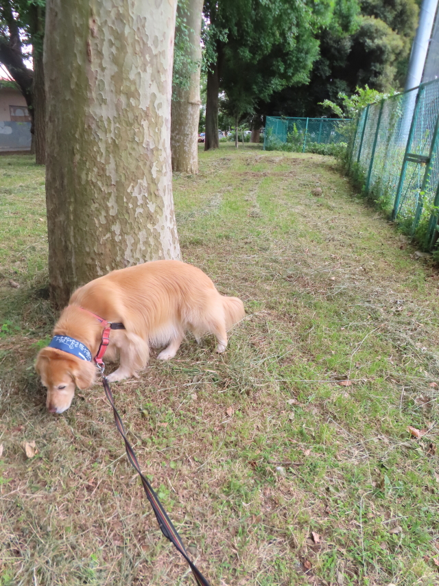 ファイル 8788-1.jpg