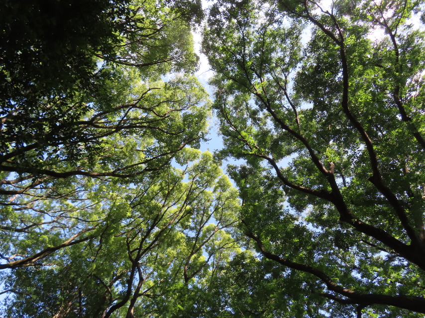 ファイル 8789-3.jpg