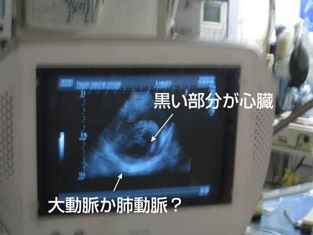 ファイル 879-3.jpg