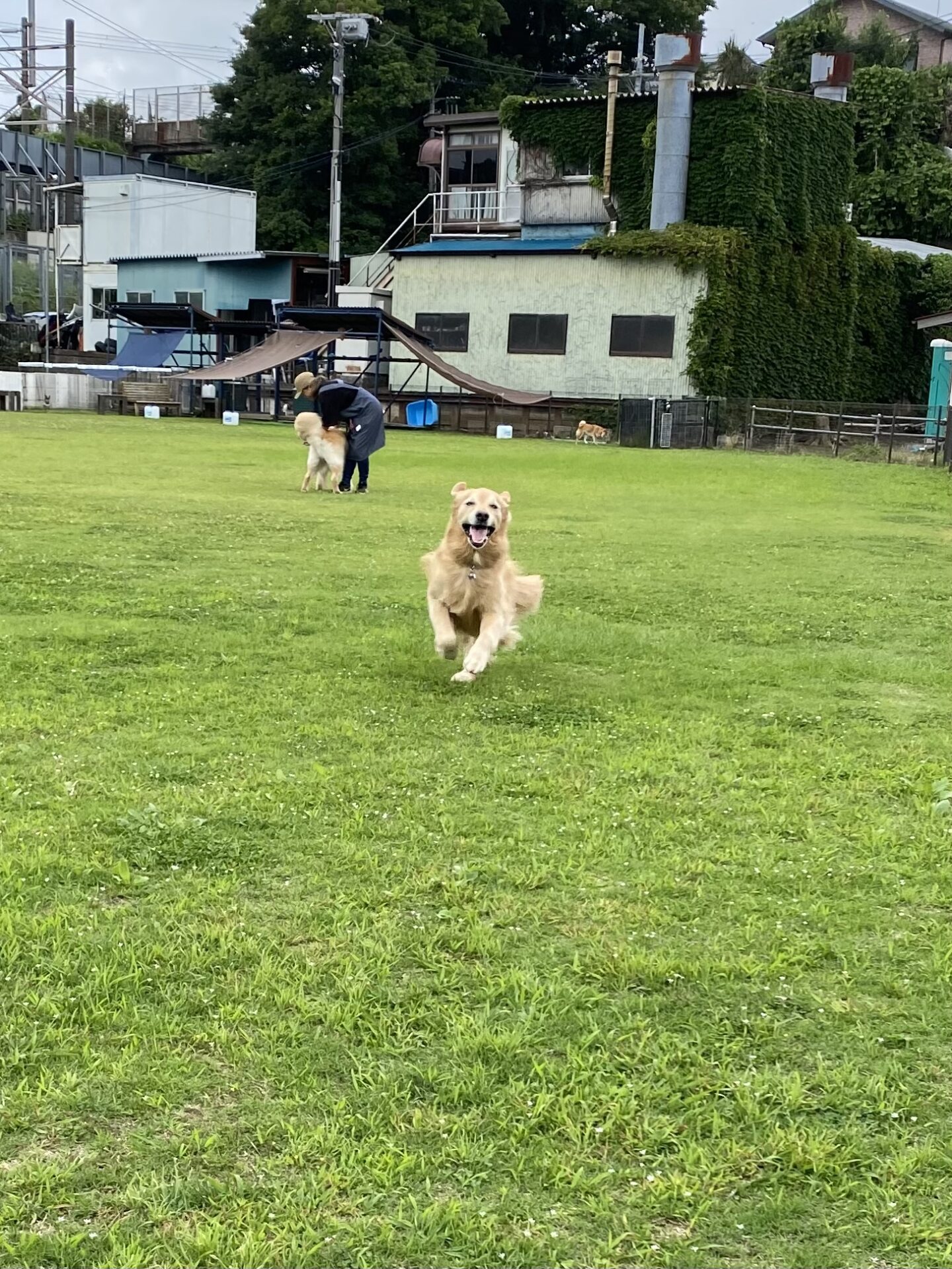 ファイル 8790-1.jpeg