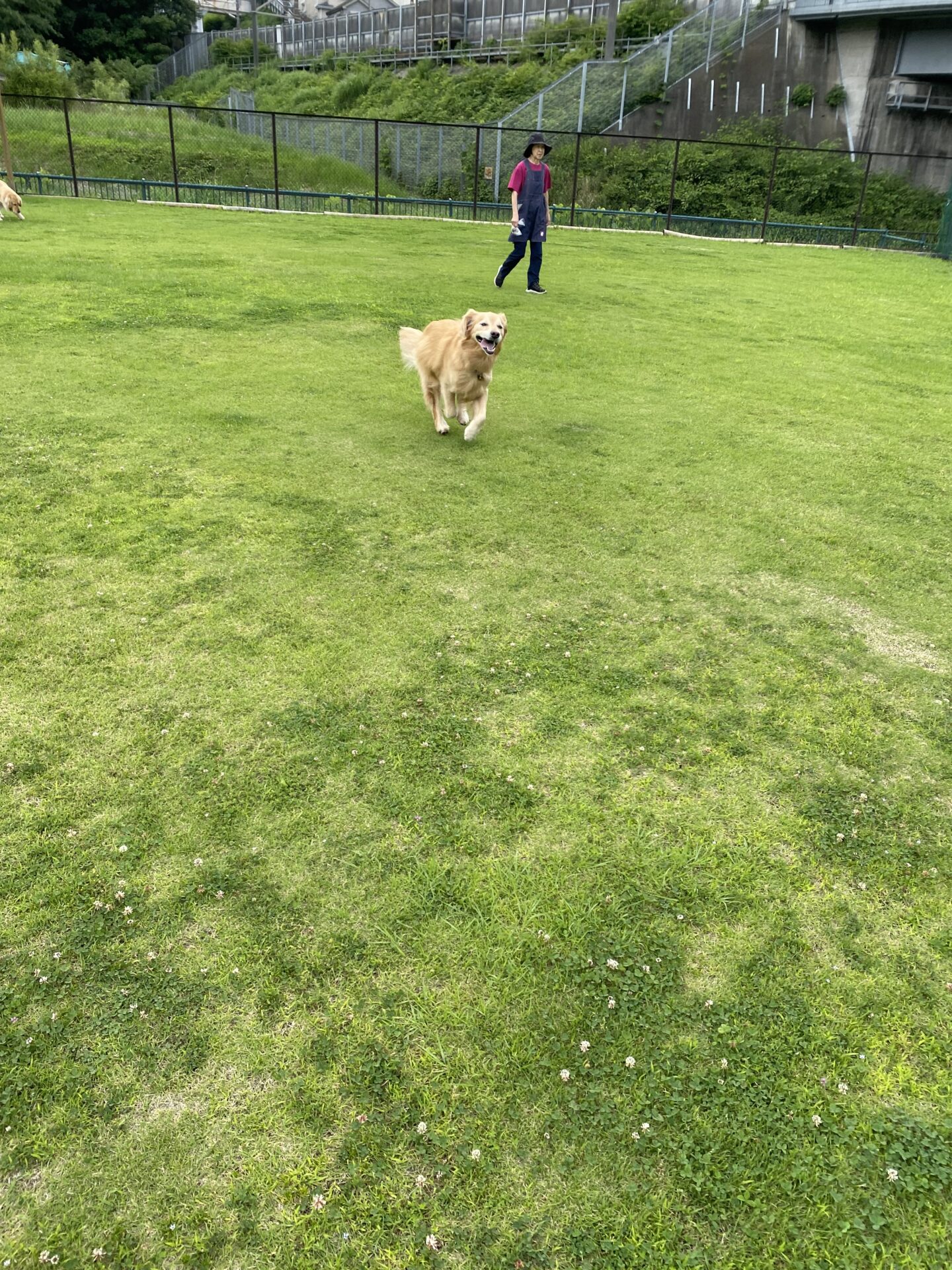 ファイル 8790-3.jpeg