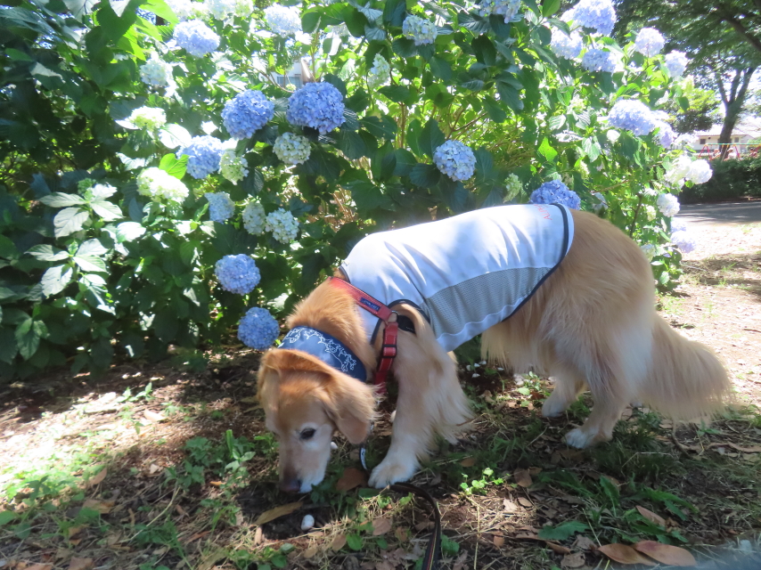 ファイル 8794-4.jpg