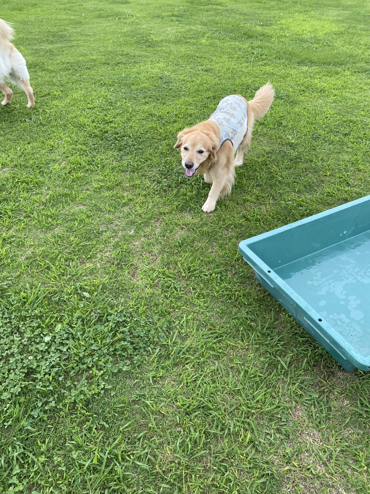 ファイル 8798-5.jpeg