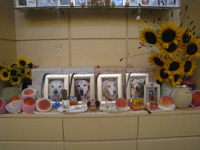 ファイル 880-1.jpg