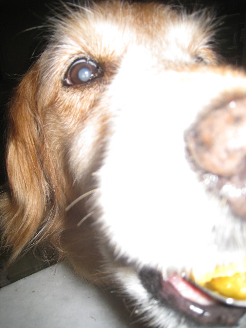 ファイル 880-2.jpg