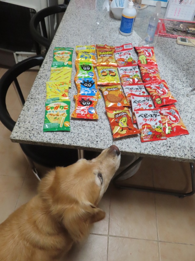 ファイル 8800-4.jpg