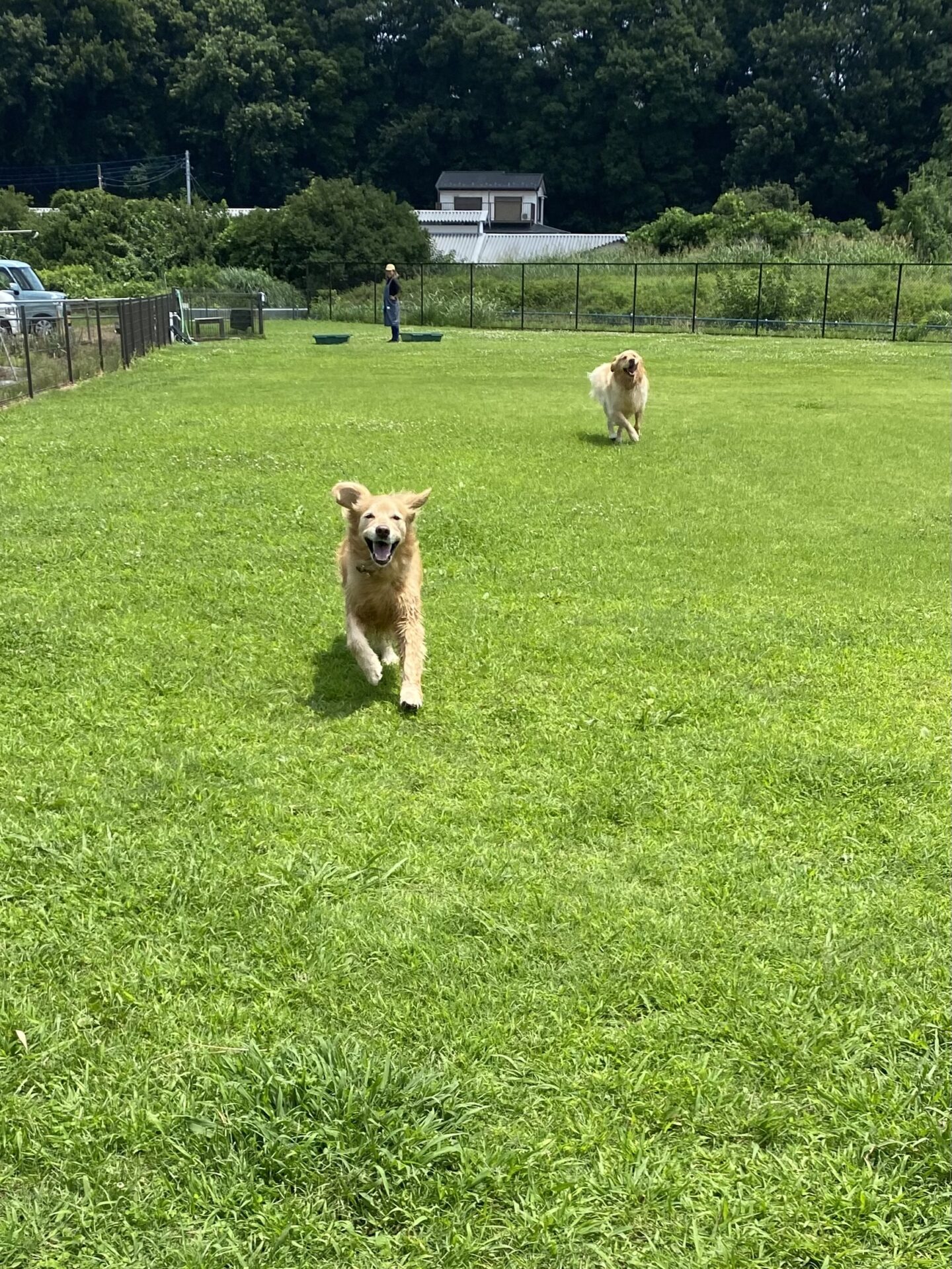 ファイル 8801-3.jpeg