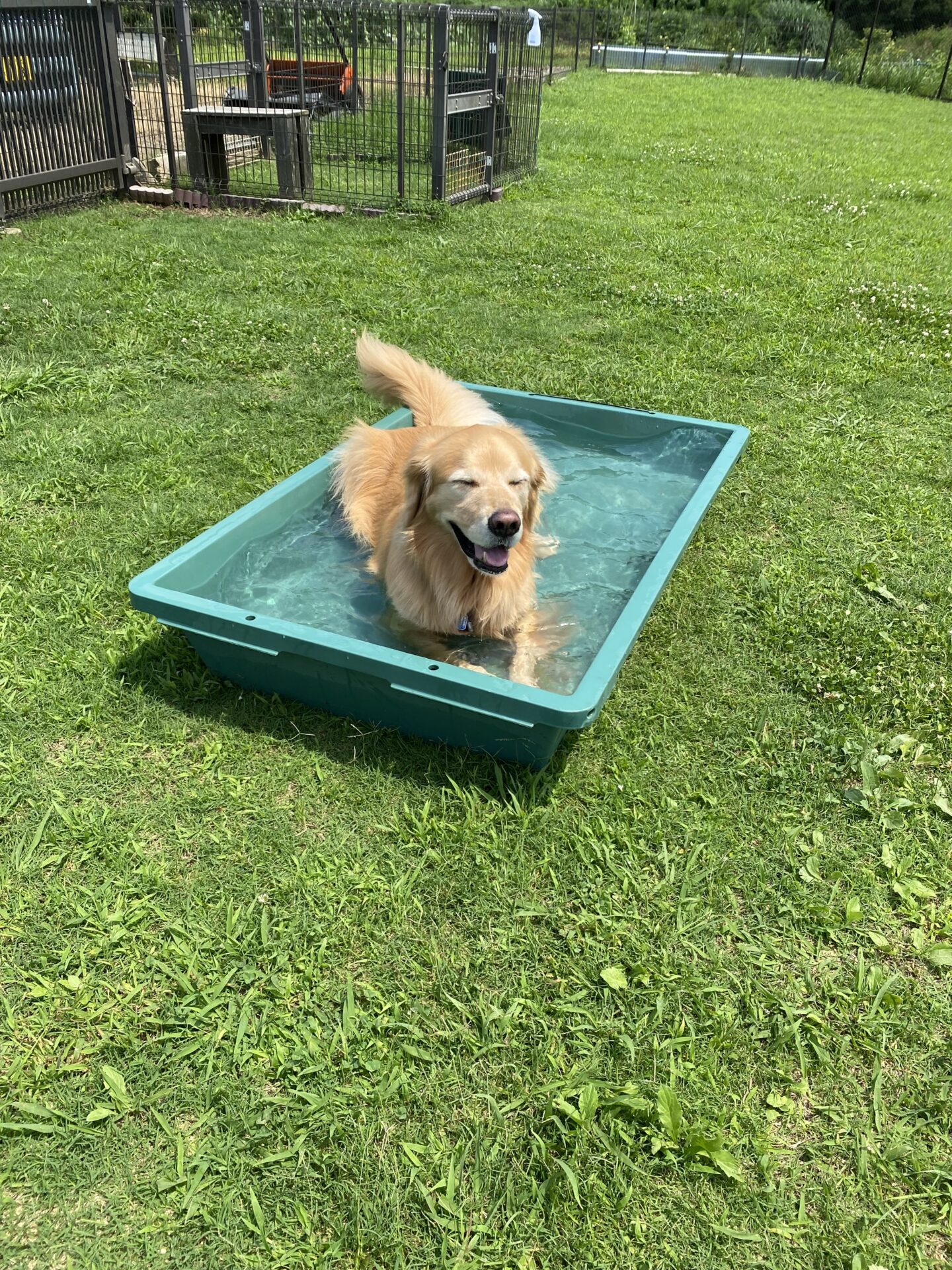 ファイル 8801-4.jpeg