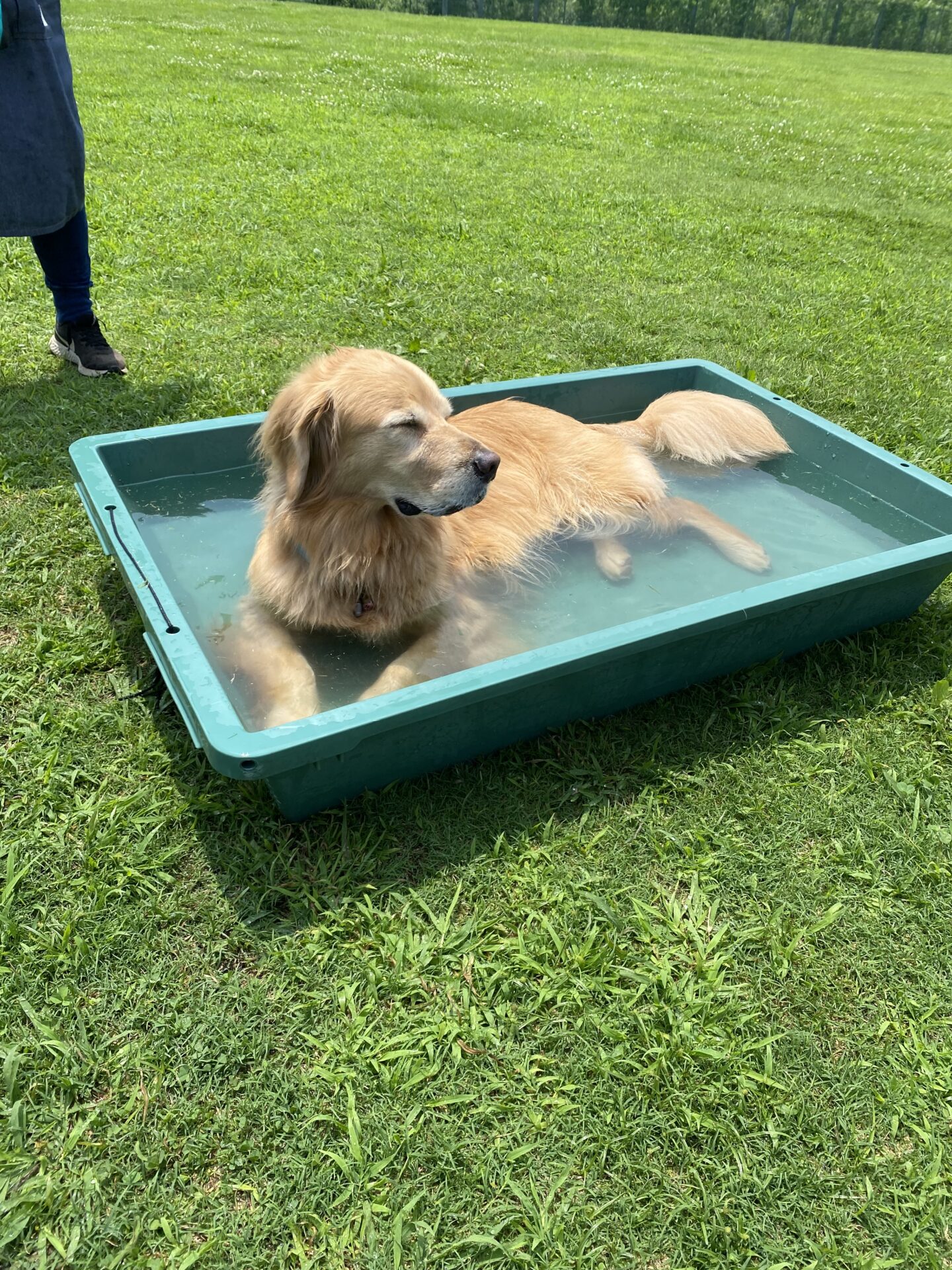 ファイル 8801-5.jpeg