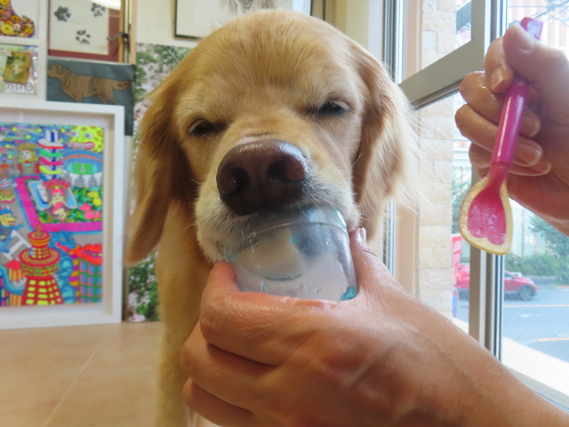 ファイル 8802-5.jpg