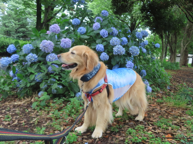 ファイル 8803-3.jpg