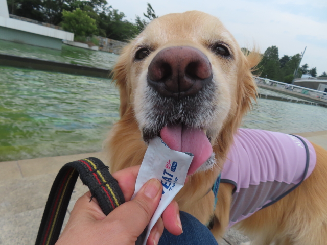 ファイル 8803-5.jpg