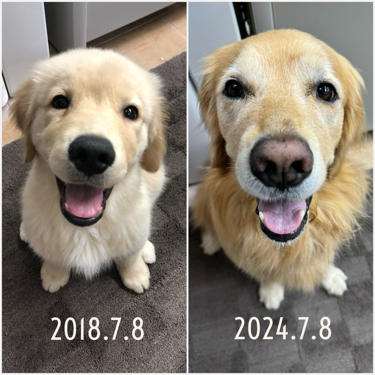 ファイル 8804-1.png