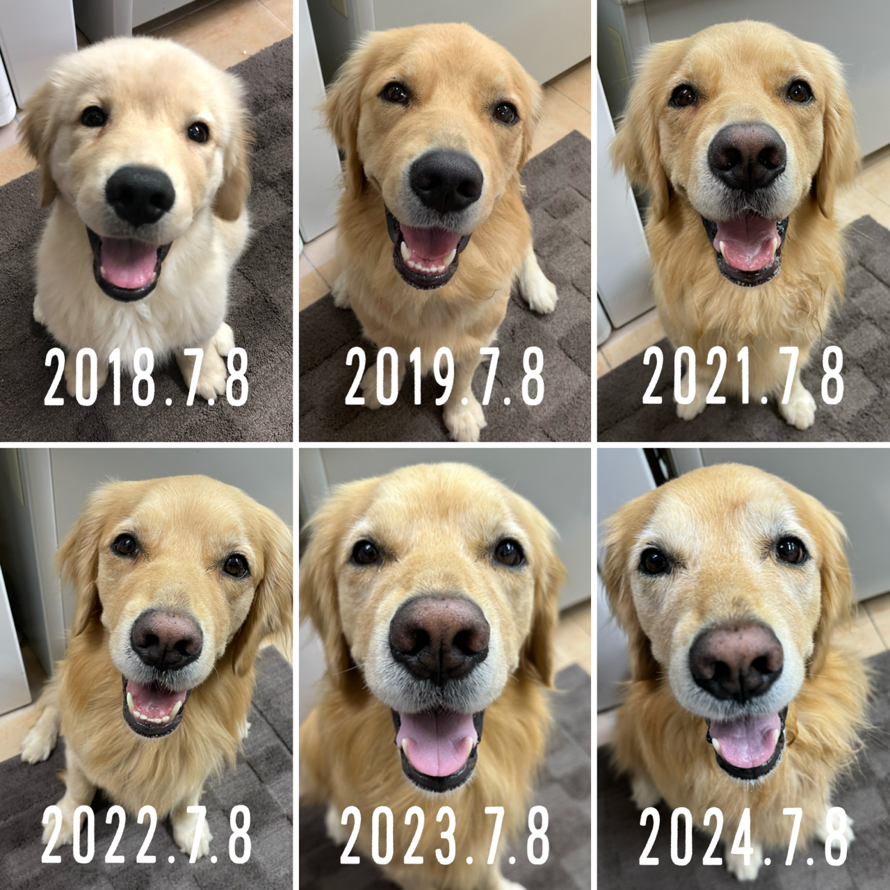 ファイル 8804-2.png