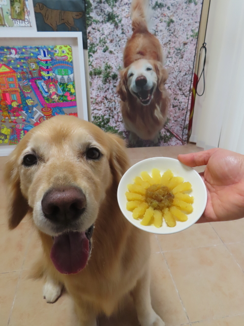 ファイル 8807-4.jpg