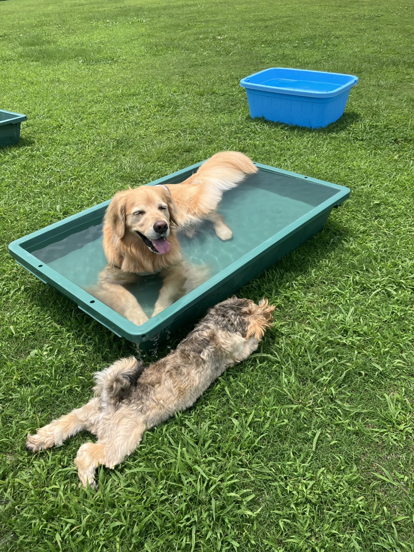 ファイル 8808-3.jpeg