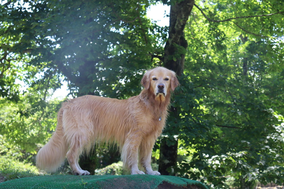 ファイル 8809-5.jpg