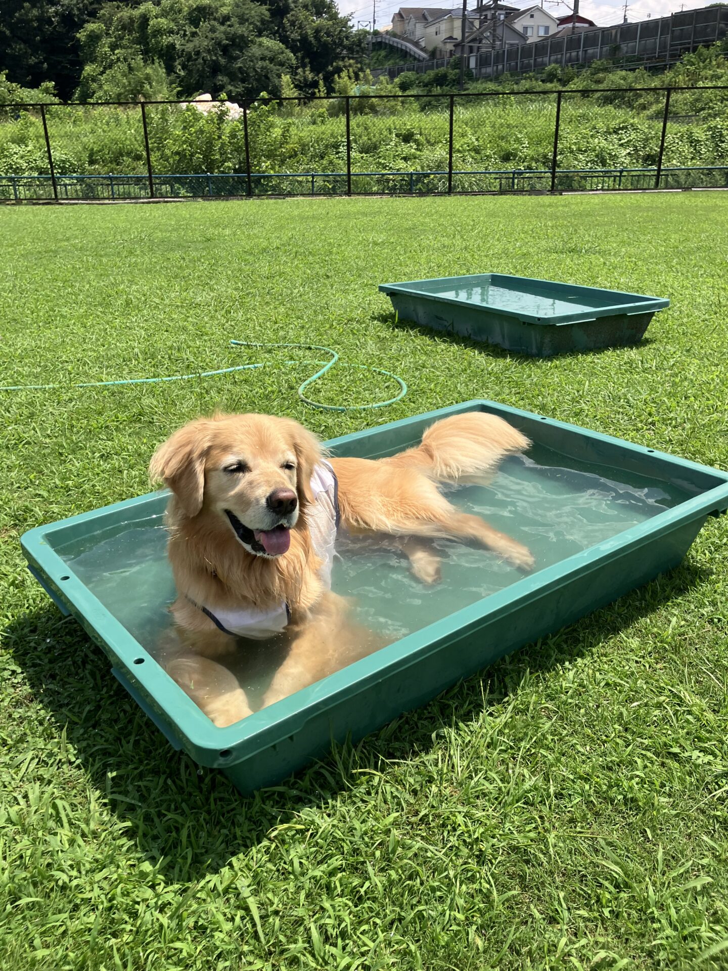 ファイル 8810-3.jpeg