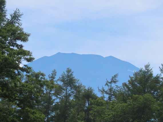 ファイル 8812-5.jpg