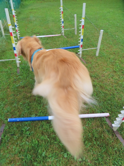 ファイル 8813-4.jpg